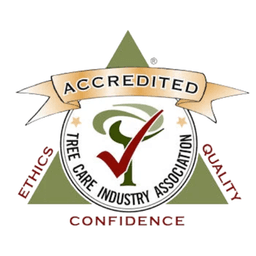 Above AND Beyond Services logo