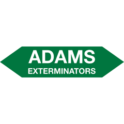 Adams Exterminators logo