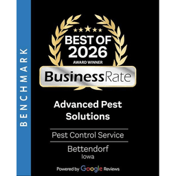 Advanced Pest Solutions logo