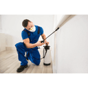 All Bee Bee Removal logo