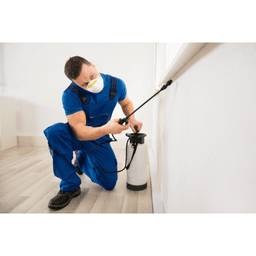 All Bee Bee Removal logo
