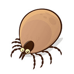 All-Points Pest Control logo