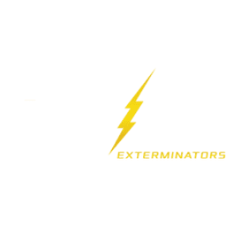 Alpha Exterminators logo