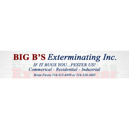 BIG B's Exterminating logo