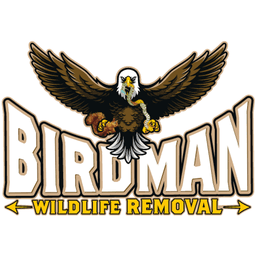 Birdman Nash logo