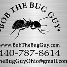 BOB The BUG GUY logo