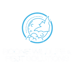 Boone Wildlife & Pest Solutions logo