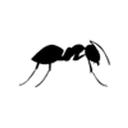 Bravo Pest Control logo