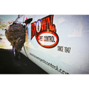 Brown Pest Control logo
