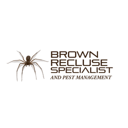 Brown Recluse Specialist logo