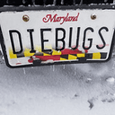 Budget Bugs logo