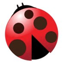 BUG THE Bugs logo