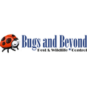 Bugs AND Beyond logo