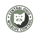 Central Ohio Wildlife Control logo