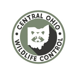 Central Ohio Wildlife Control logo