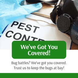 Common Sense Termite and Pest Control logo