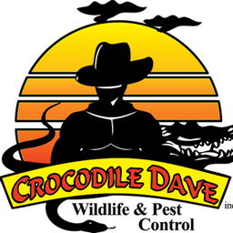 Crocodile Dave logo