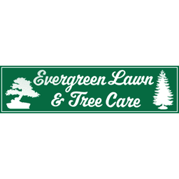 Evergreen Lawn&Tree Care logo