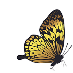 Go Green Pest Solutions logo