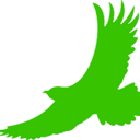 Hawk Pest OK logo