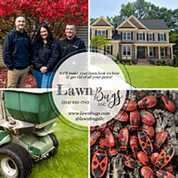 Lawn Bugs logo