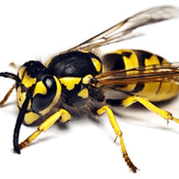 Loveless Exterminating logo