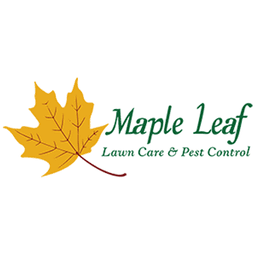 Maple Leaf Lawn Care & Pest Control logo
