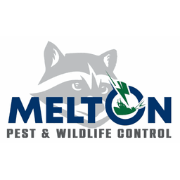 Melton's Wildlife Control logo