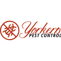 New Yorkers Pest Control logo
