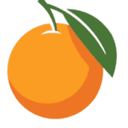 Orange Pest Control logo