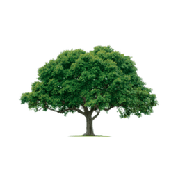 Otto's Tree AND Turf logo