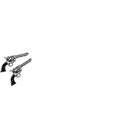 Pesky Pest Control logo