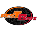 Pestboyz logo
