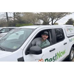 Pestnow logo