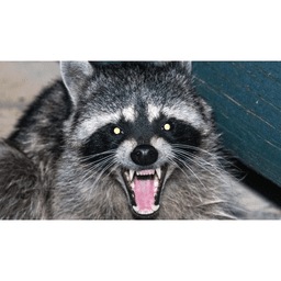 Power Guard Pest Control logo