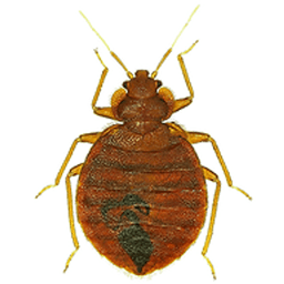 Premier Pest Elimination logo