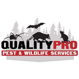 Qualitypro Pest & Wildlife Services logo