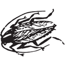R & R Pest Control logo