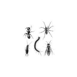Ridd Pest Control Charleston logo