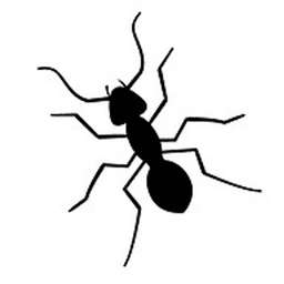 Sandy Soil Pest Control logo