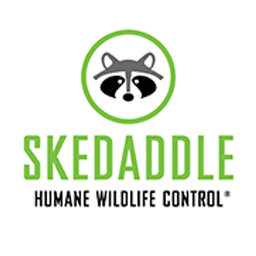 Skedaddle Humane Wildlife Control logo