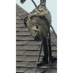 Smitty's Pest Control logo