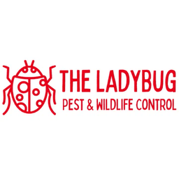 The Ladybug logo