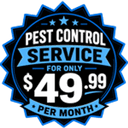 The No-Nonsense Termite Company logo