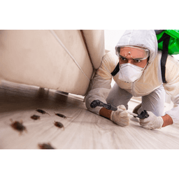 Time's Up Pest Control logo