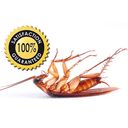 Tony's Pest Control logo