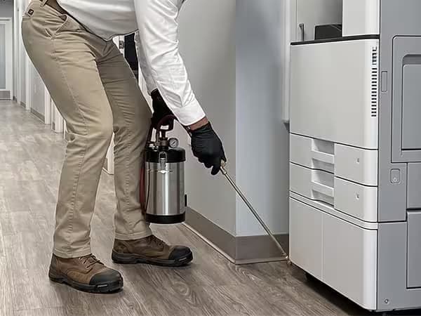 Commercial Pest Control service photo
